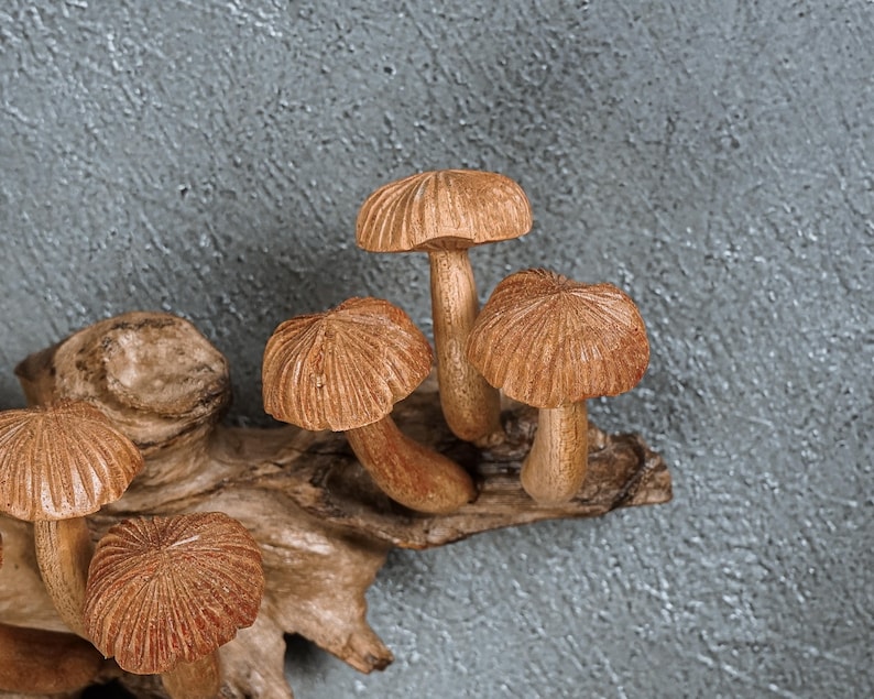 May include: A decorative sculpture featuring five carved wooden mushrooms attached to a piece of natural driftwood. Each mushroom has a light brown finish with detailed radial lines on the cap and a smooth, curved stem, creating a realistic appearance.
