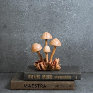 Pu&ograve; includere: Una scultura decorativa composta da tre funghi in legno marrone chiaro con cappelli lisci e arrotondati e steli sottili, fissati su una base in legno nodoso e testurizzato. La scultura &egrave; posizionata sopra due libri con copertina rigida grigio scuro.