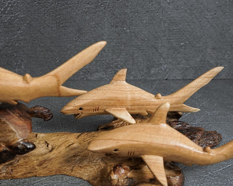 May include: Three light brown wooden shark carvings mounted on a piece of natural driftwood. Each shark figure features carved fins, a tail, and gill slits. The sharks are positioned at different angles, showcasing smooth wood grain textures.