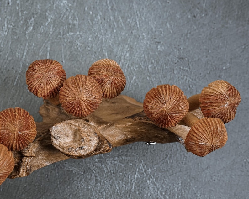 May include: A decorative piece featuring multiple carved wooden mushroom caps with detailed radial textures attached to a natural, gnarled piece of driftwood. The mushroom caps are a warm brown color, showcasing the natural grain of the wood.