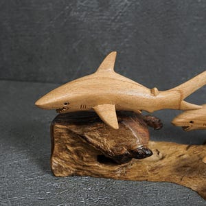 May include: A light brown wooden shark sculpture with a smooth finish, featuring visible gill slits and a detailed eye, mounted on a piece of natural, textured driftwood. The shark is positioned horizontally with its fins extended outward.