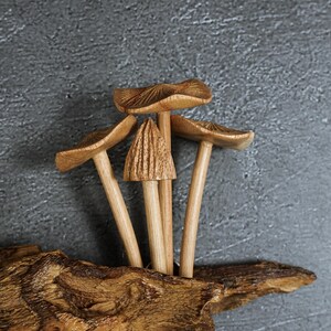 May include: A cluster of four carved wooden mushrooms with light brown stems and textured caps, attached to a piece of dark, weathered driftwood. The mushrooms vary in height and cap shape, with one central mushroom featuring a pointed, conical top.