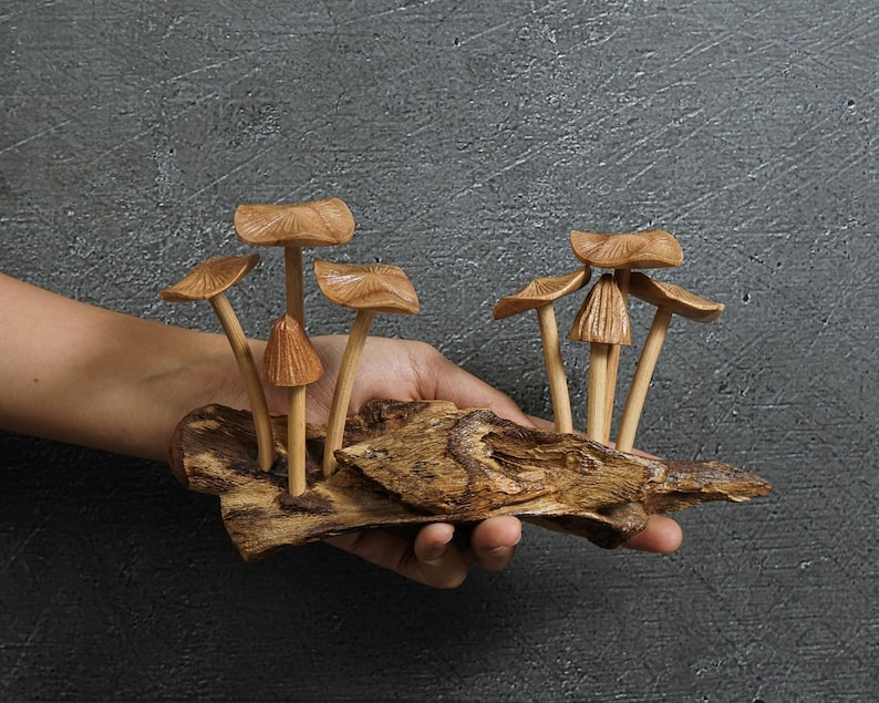 May include: A decorative sculpture featuring seven carved wooden mushrooms of varying heights and cap sizes, attached to a piece of textured, dark brown natural driftwood. The mushrooms have light tan stems and medium brown, detailed caps.