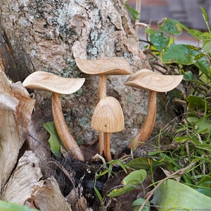 Hand-Carved Wood Mushroom Sculpture 7&quot;