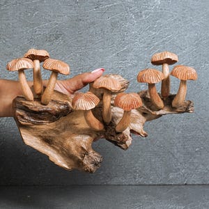 May include: A decorative sculpture featuring multiple carved wooden mushrooms attached to a piece of natural driftwood. The mushrooms have detailed, textured caps and smooth stems, showcasing the natural light brown wood grain and organic shapes.