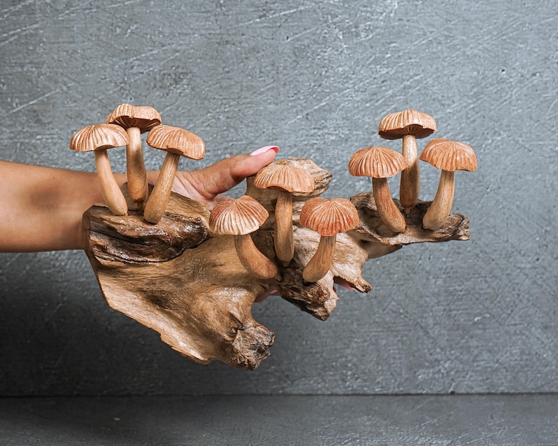 May include: A decorative sculpture featuring multiple carved wooden mushrooms attached to a piece of natural driftwood. The mushrooms have detailed, textured caps and smooth stems, showcasing the natural light brown wood grain and organic shapes.