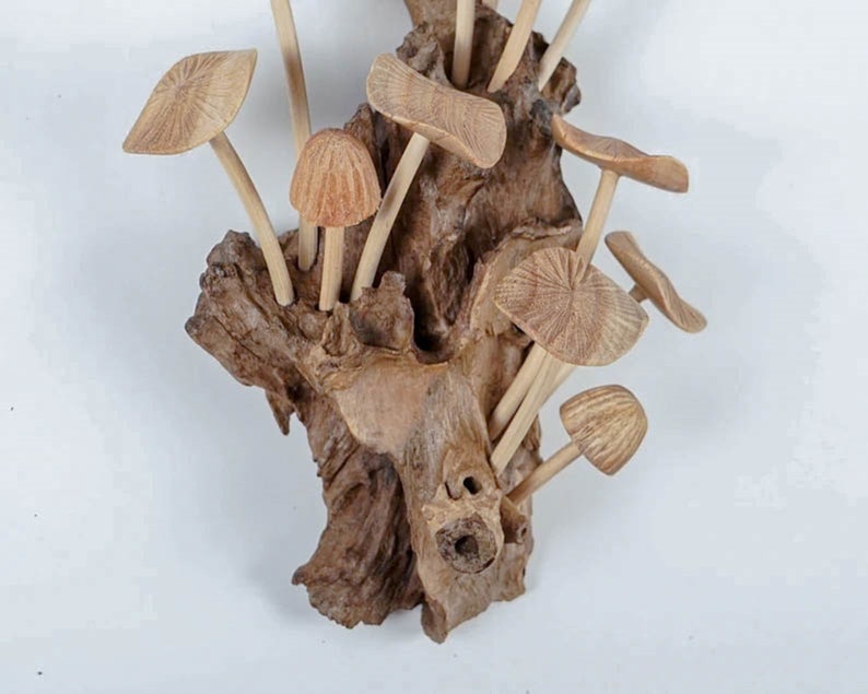 May include: A decorative sculpture featuring multiple carved wooden mushrooms with textured caps and slender stems, all attached to a central piece of gnarled, dark brown driftwood. The mushrooms vary in size and shape, displaying natural wood grain.