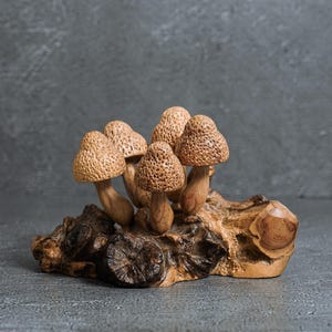 Hand Carved Wooden Mushroom Sculpture: Rustic Wood Carving 3&quot;
