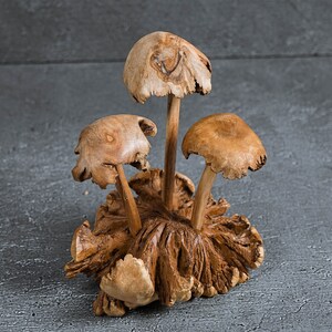 May include: A wooden sculpture of three mushrooms with brown caps and stems. The mushrooms are clustered together on a base of carved wood.