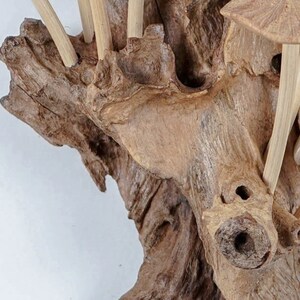 Hand Carved Wooden Mushroom Wall Decor, Driftwood Figurine, 10.8 Inch image 7