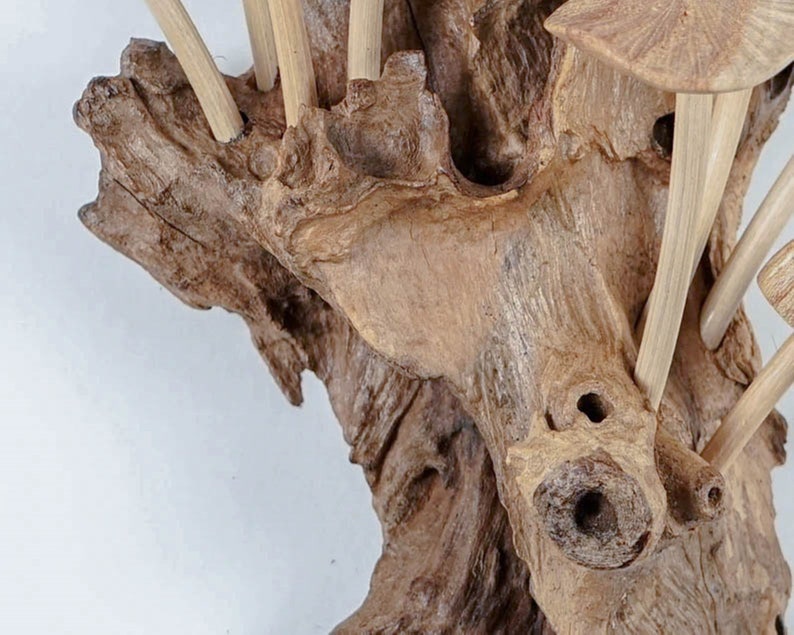 Hand Carved Wooden Mushroom Wall Decor, Driftwood Figurine, 10.8 Inch image 7