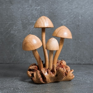 Unique Mushroom Statue 5&quot;, Fairy Mushroom, Wooden Mushroom, Parasitewood, Figurine, Exotic, Tabletop Decor, Room Decor, Gift for Him