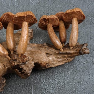 May include: A decorative sculpture featuring five carved wooden mushrooms attached to a piece of textured driftwood. The mushrooms have visible gills on the underside of their caps and smooth, curved stems, all finished in a natural light brown wood tone.