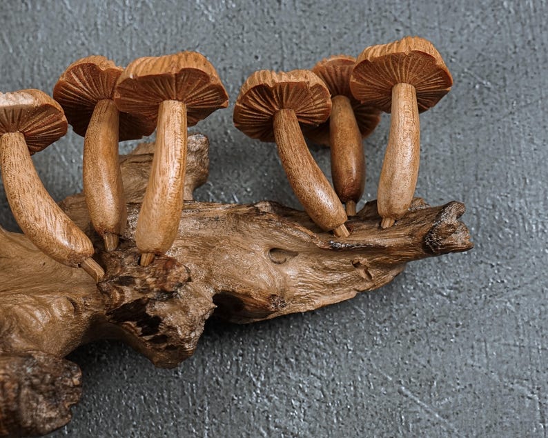 May include: A decorative sculpture featuring five carved wooden mushrooms attached to a piece of textured driftwood. The mushrooms have visible gills on the underside of their caps and smooth, curved stems, all finished in a natural light brown wood tone.