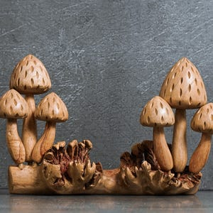 Unique Mushroom Forest 9.5&quot; Width, Wooden Mushroom, Parasitewood, Mushroom Art, Floral, Art, Interior Decor, Housewarming, Gift for Mother
