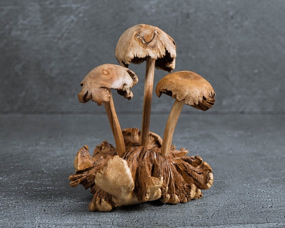 Handmade Wood Carved Mushroom Sculpture: Exotic Fungi Art, Home Decor 5"