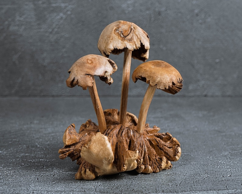May include: A wooden sculpture of four mushrooms with brown and tan tones. The mushrooms are arranged in a cluster on a base of wood with a rough texture.