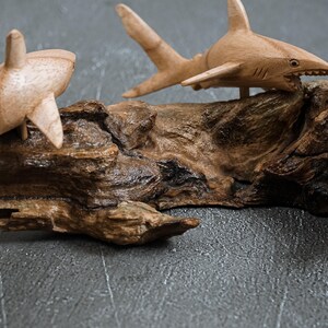 Hand Carved Wooden Shark Wall Art: Balinese Marine Sculpture 11" image 9