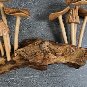 May include: A decorative sculpture featuring multiple carved wooden mushrooms with smooth, light brown stems and textured caps, all attached to a piece of dark, weathered natural driftwood with a prominent grain and irregular, organic shape.