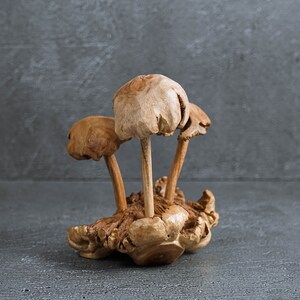 May include: A wooden sculpture of three mushrooms with brown and tan tones. The mushrooms are carved from a single piece of wood and have a natural, rustic look.