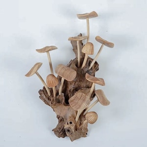May include: A decorative sculpture featuring multiple carved wooden mushrooms with light brown, textured caps and slender stems, all emerging from a central piece of dark, gnarled, natural driftwood with a rough, organic surface and deep crevices.