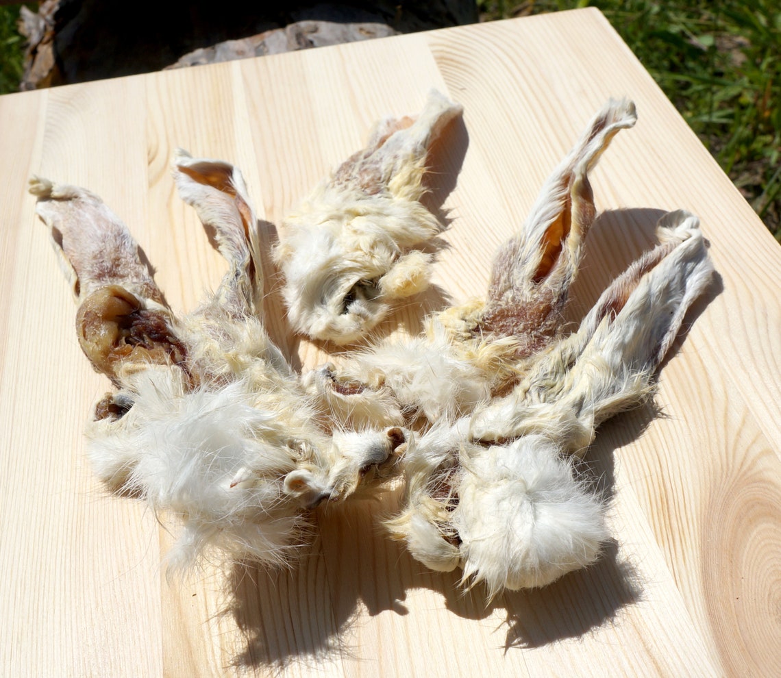 HASENOHREN mit Fell kauen für Hunde 100 natürlicher Snack Etsy