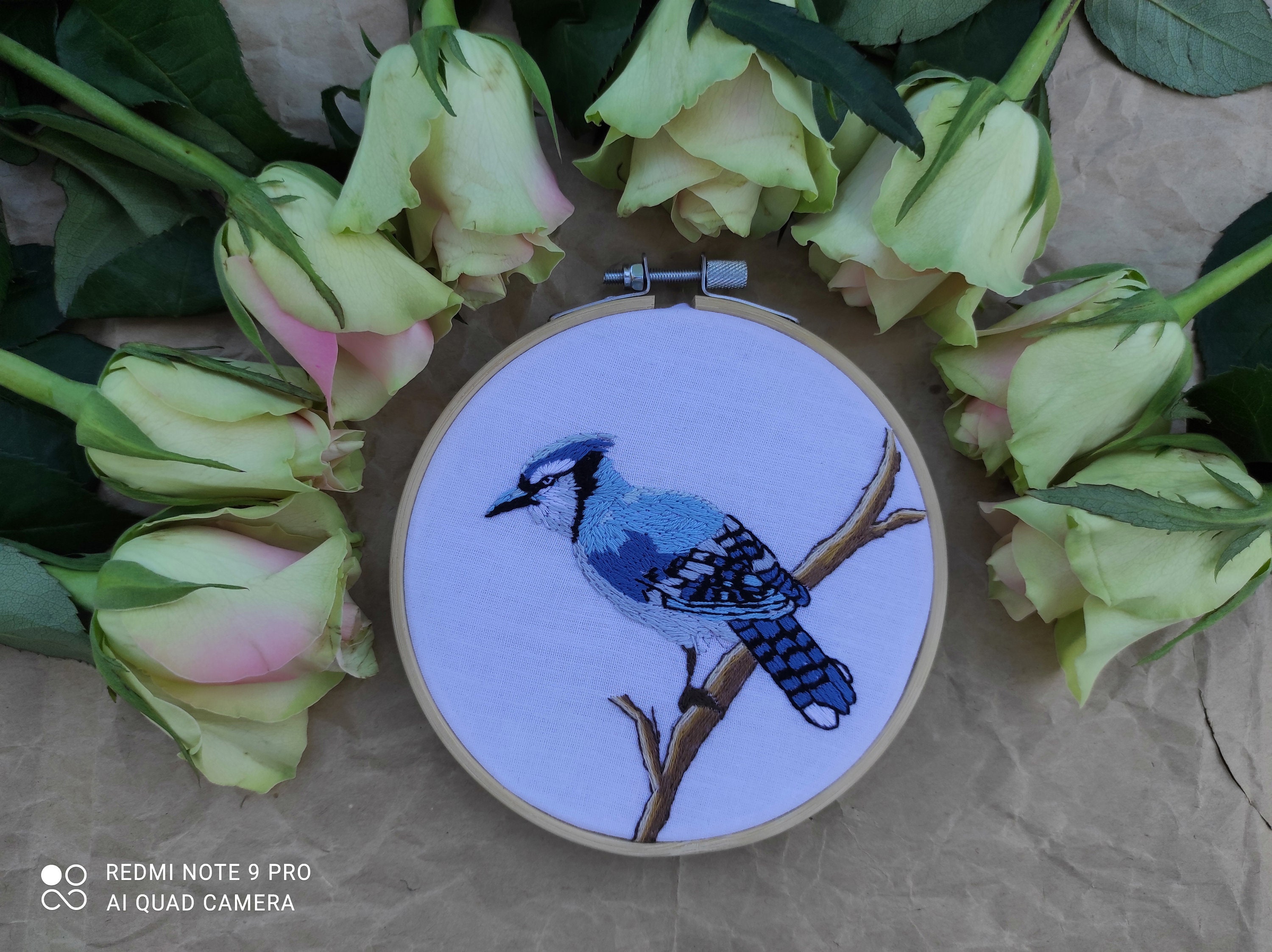 Cerceau Brodé d'oiseau - Décoration à La Maison de Mur Pendaison Fait Main Cadeau