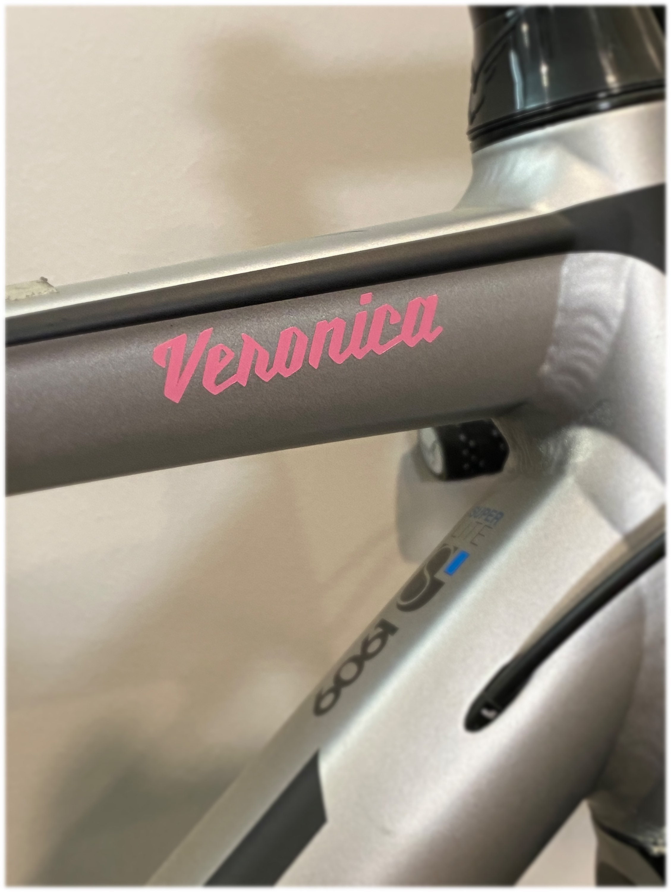 custom bike frame stickers
