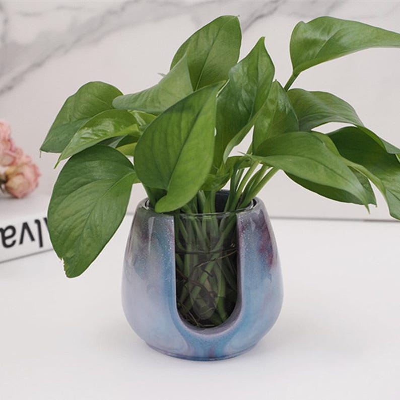 Puede incluir: Una maceta de cer&aacute;mica azul y morada con un inserto de vidrio transparente para una planta. La maceta tiene un dise&ntilde;o &uacute;nico con un recorte en forma de U. Una planta verde est&aacute; creciendo en la maceta.