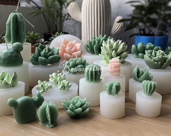 MYPRACS Stampo in silicone a forma di cactus per pasta di zucchero, cioccolato, caramelle, cupcake, caramelle, cioccolato, pasta di gomma, set da 1