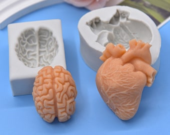 3D Heart And Brain Fondant Silicone Mold-Human Brain Heart Candle Mold-Halloween Brain Heart Resin Mold-Chocolate Cake Decor Mold