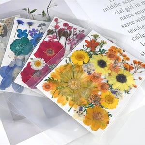 Een pak van 25 stuks geperste bloemen-gedroogde geperste bloemen en bladeren voor harsvulling-sieraden knutselen doe-het-zelf-bloemstuk en bladwijzer maken