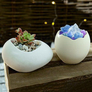 Peut inclure: Deux pots en céramique blanche, l'un en forme d'œuf et l'autre en forme de rectangle arrondi. Le pot en forme d'œuf a une petite ouverture en haut et est rempli de cristaux bleus et violets. Le pot rectangulaire a une petite plante succulente qui pousse à l'intérieur.