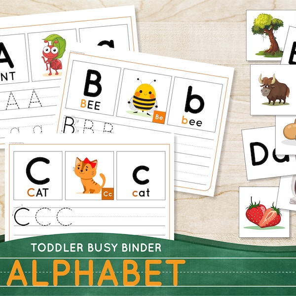 ALPHABET worksheets Printable Toddler learning toy Kindergarten busy book Teaching tools Preschool curriculum Homeschool ABC learning binder