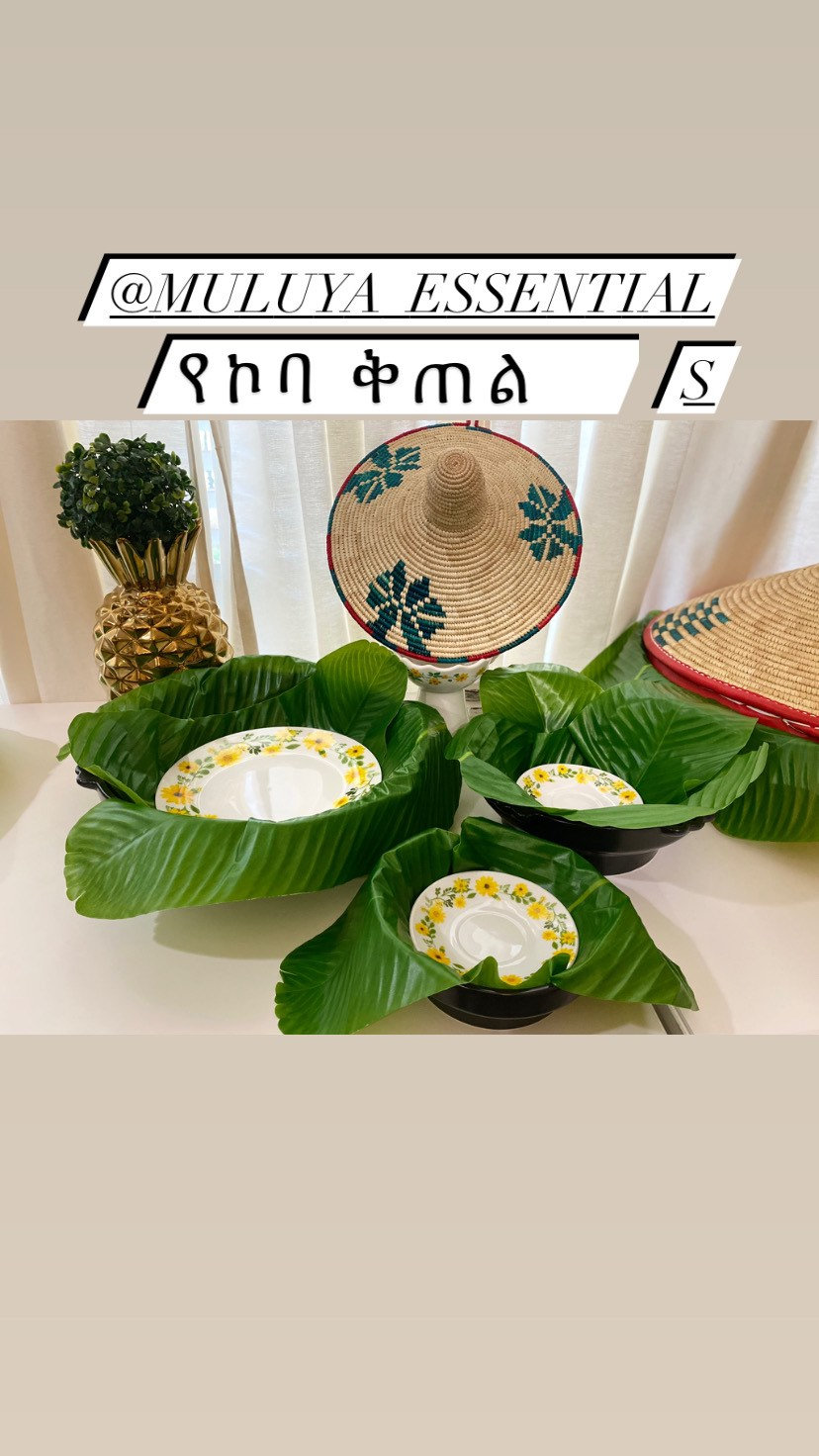 Heavenly Round Shape Banana Leaf Plate 10''inch Serving Melamine Platte for  All Occasions/26 CM (Pack of 1) (3)