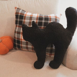 Halloween scaredy cat pillow