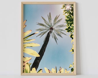 Nature Print, Palm photo print, botanical garden nature photograph, nature travel photo print, nature wall art decor, palm tree print