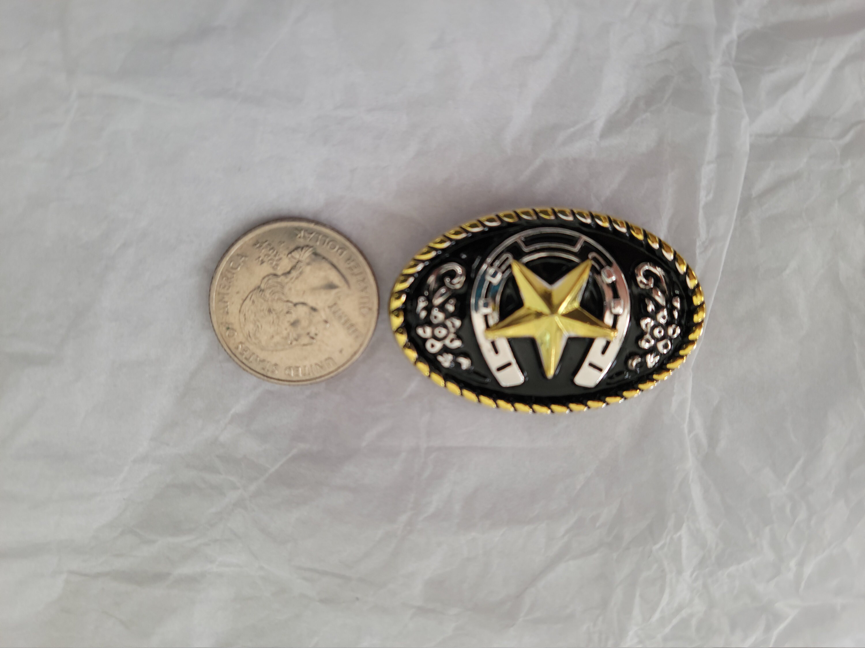 5 Horseshoe Screwback Conchos Etsy