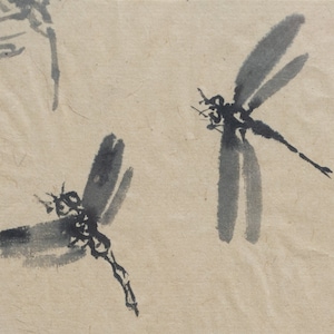 Acquerello cinese di orchidea ? Fiore e libellula