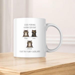 Good Morning Human Servant Mug, Custom Cat Mug, Personalized Cat Mug, Cat Coffee Mug, Funny Cat Photo Mug, Cat Portrait Mug, Custom Pet Gift
