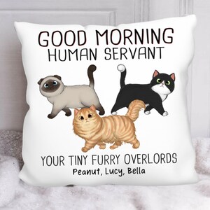 Good Morning Human Servant Pillow, Personalized Cat Pillow, Gift For Cat Lovers, Cat Cuddle Pillow, Funny Cat Sofa Pillow, Cat Owners Gifts