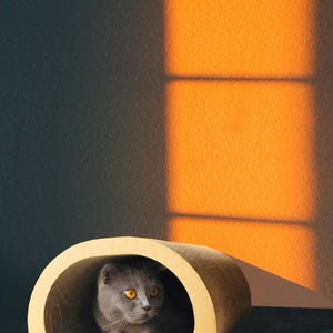 Muahh - Accesorios para mascotas / Casa para gatos - Cama para gatos - Rascador y casa para gatos 2 en 1 de cartón ecológico - Escondite acogedor