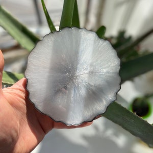 May include: A white resin coaster with a silver glitter finish and a black rim. The coaster has a wavy edge and a circular shape.