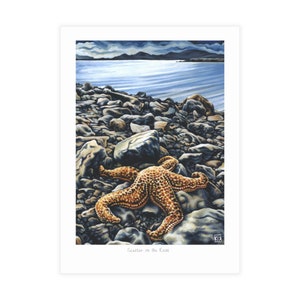 Confezione da 10 - Pacchetto cartoline Stella marina sulla spiaggia, Confezione da 5 cartoline vuote da 7, Carte regalo marine incorniciabili, Carte Stella marina con buste