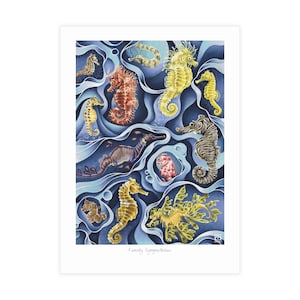 Confezione da 10 - Pacchetto di cartoline con motivo cavalluccio marino, confezione di cartoline vuote da 5x7, carte regalo tropicali incorniciabili, carte oceaniche con buste