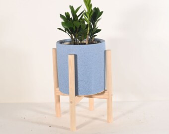 Live ZZ Plant with 8" Indoor Ceramic Planter and Wood Stand