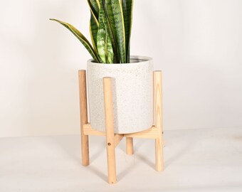 Live Plant Snake Plant with 8" Indoor Ceramic Planter Pot and Wood Stand