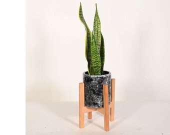 Planta de serpiente viva con pequeña maceta de cerámica de 5" para interiores y soporte de madera