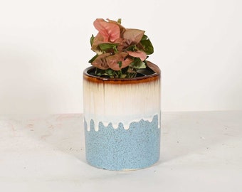 Planta viva de punta de flecha rosa con maceta de cerámica de 5 pulgadas, maceta de interior, maceta cilíndrica, plantas de interior