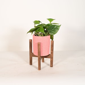 Live Plant Heartleaf Philodendron with 5&quot; Ceramic Indoor Planter Pot and Wood Stand